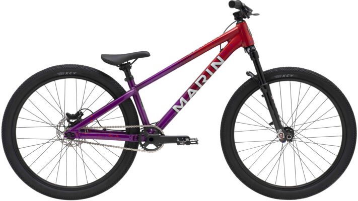BMX / Dirt Jump