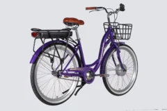 elb d 26 295 4.webp