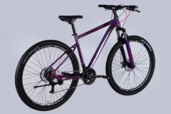 ops sp 29 078 2.webp