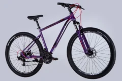 ops sp 29 078 3.webp