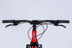 ops sp 29 163 4.webp
