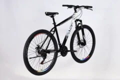 ops sp 29 166 3.webp