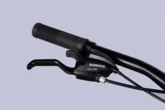 ops sp 29 187 2.webp