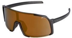 Окуляри Relax Dingo crystal dark grey crystal, лінза brown (PC), gold revo, кат. 3